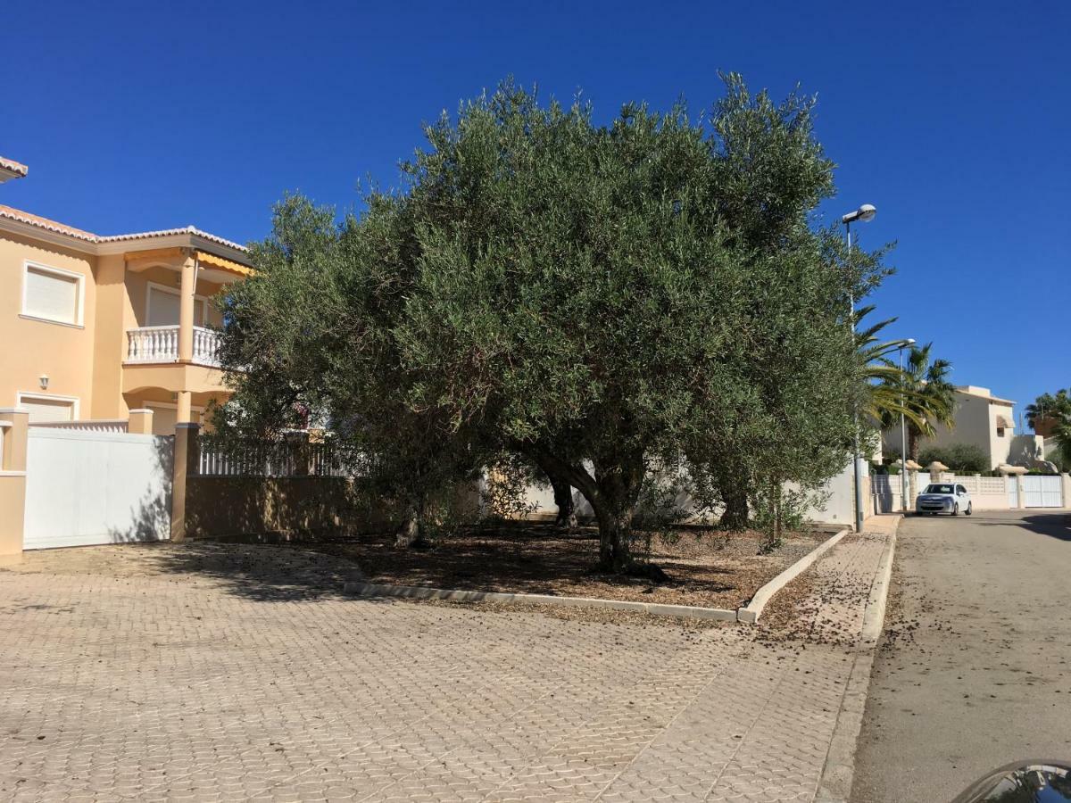 Frente Al Mar - Velazquez Villa Oliva Ngoại thất bức ảnh